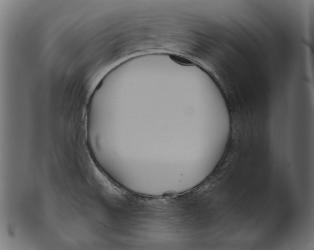 X0000100881524200807181247