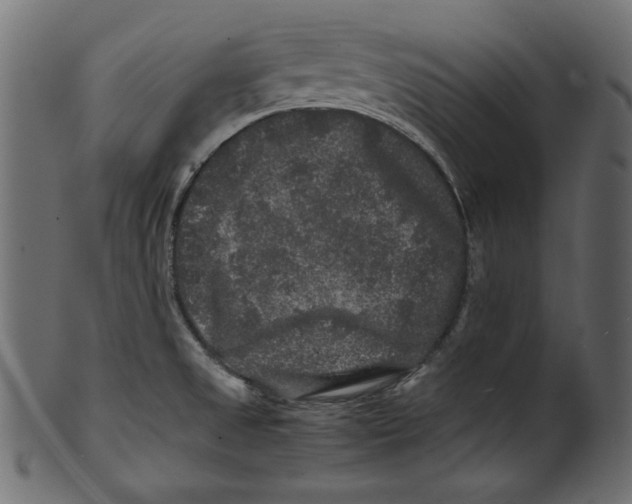 X0000100881525200807181247