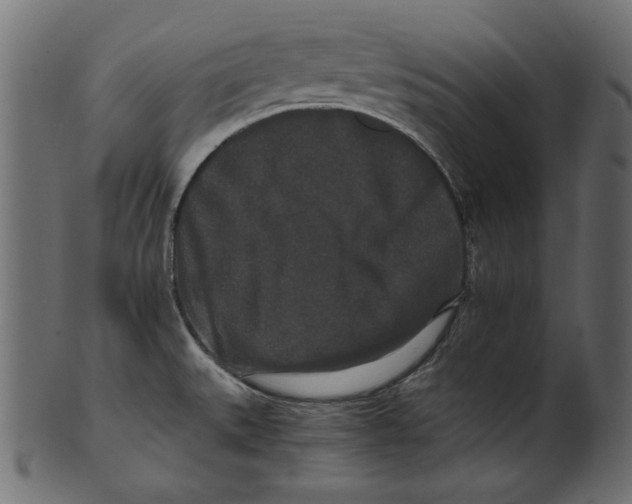 X0000100881527200807181247