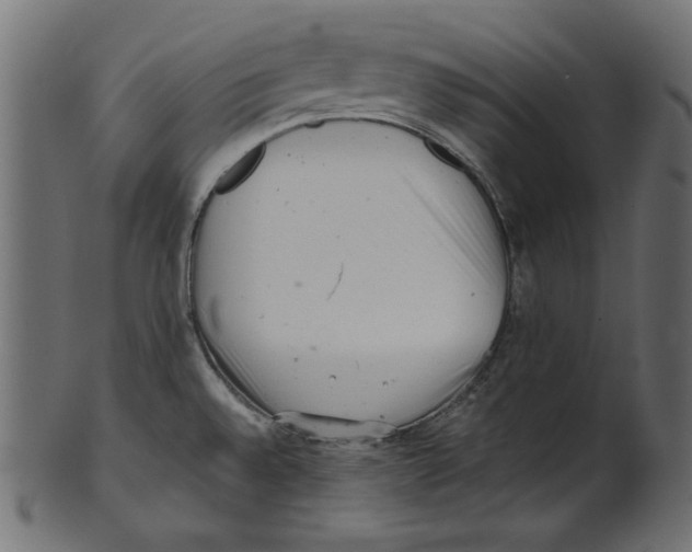 X0000100881528200807181247