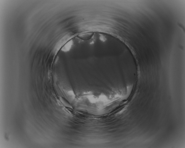 X0000100881529200807181247