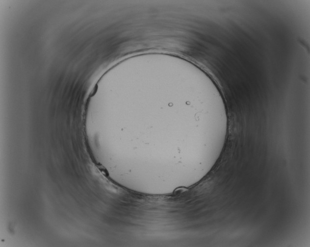 X0000100881532200807181247