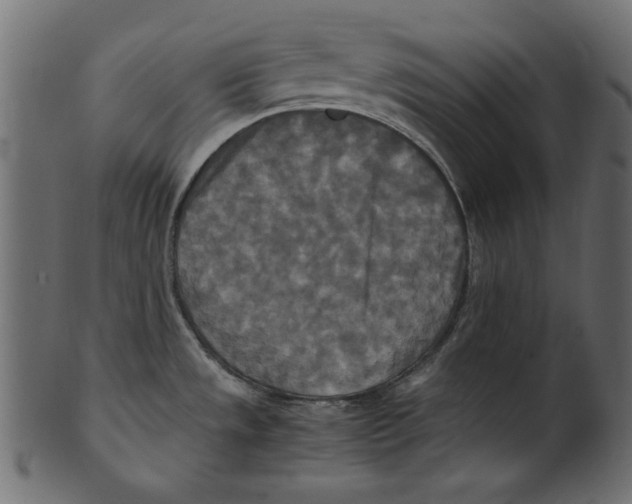 X0000100881533200807181247