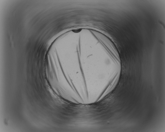 X0000100881534200807181247