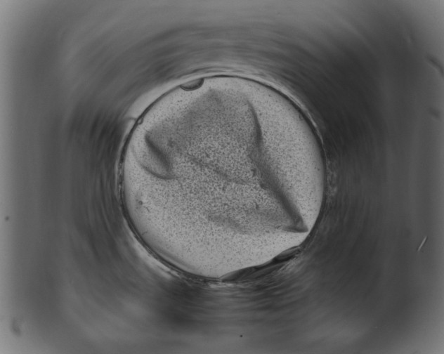 X0000100881535200807181247