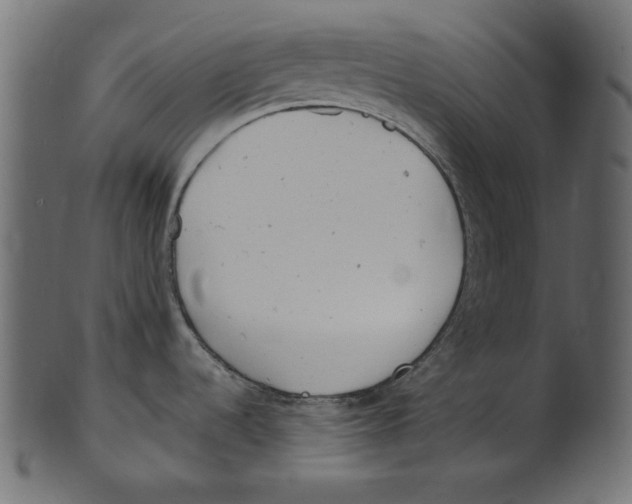 X0000100881536200807181247