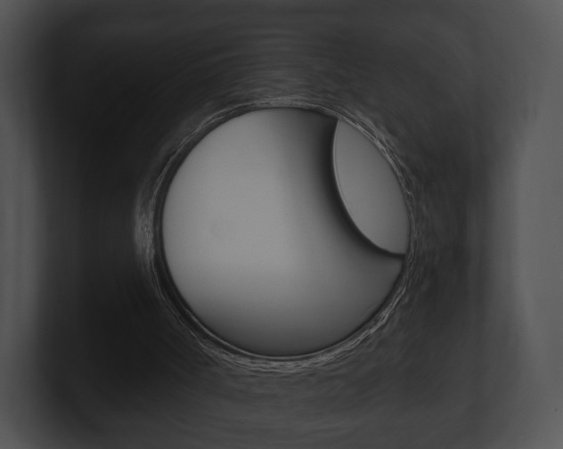X0000100890002200806241019