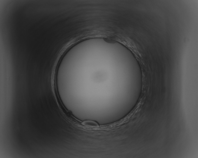 X0000100890003200806241019