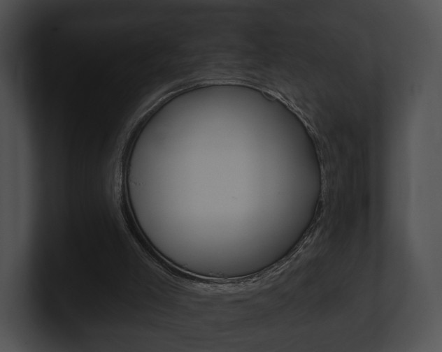 X0000100890005200806241019