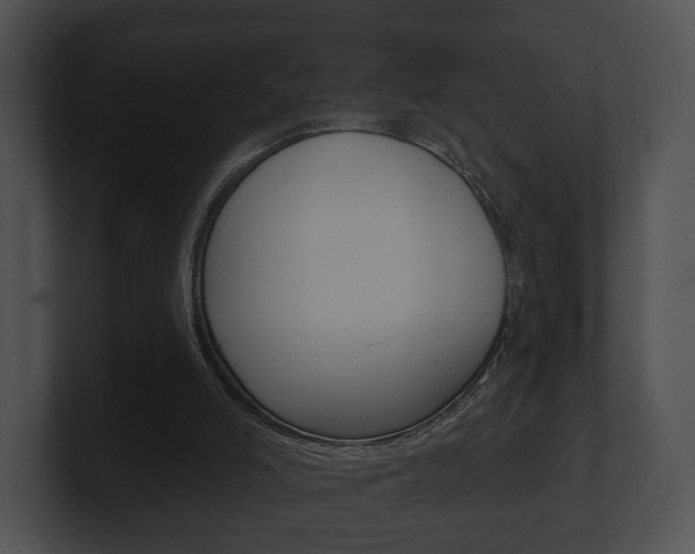 X0000100890006200806241019
