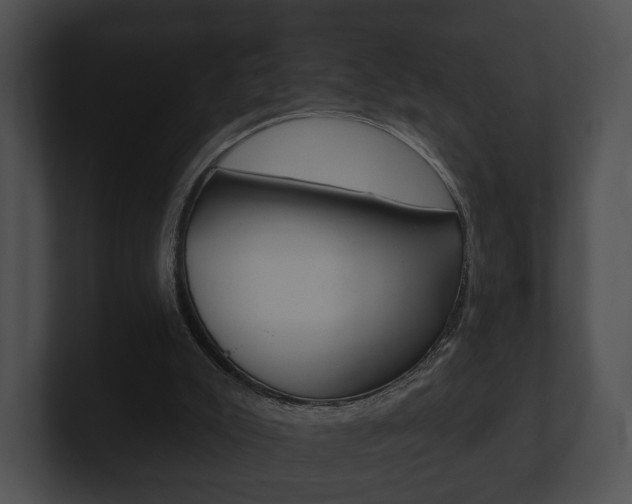 X0000100890007200806241019