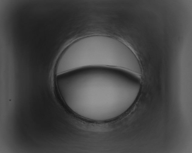 X0000100890008200806241019