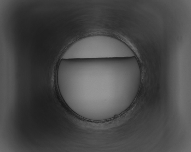 X0000100890010200806241019
