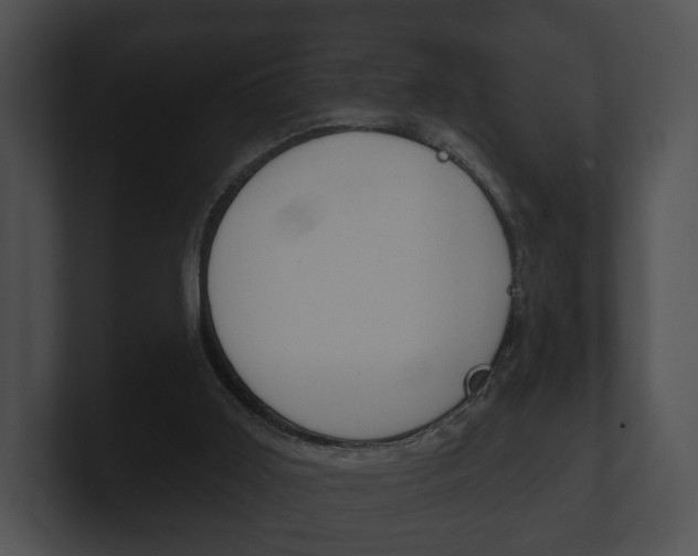 X0000100890011200806241019