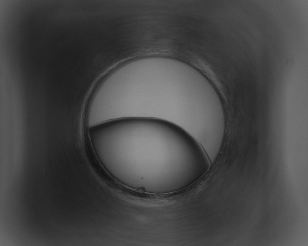 X0000100890012200806241019