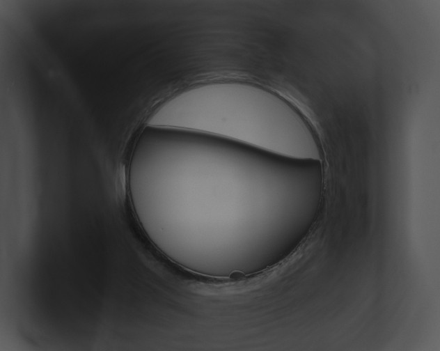 X0000100890013200806241019