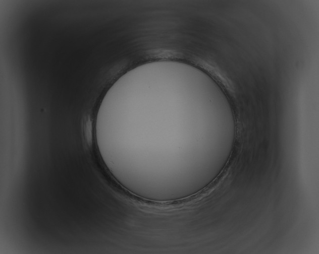 X0000100890014200806241019