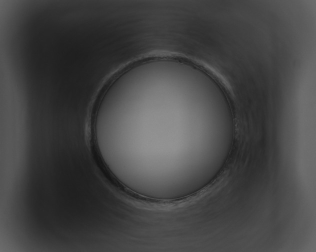 X0000100890015200806241019