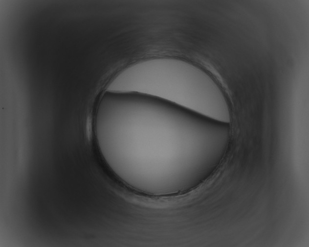 X0000100890019200806241019