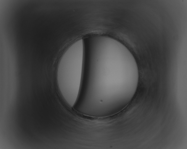 X0000100890020200806241018