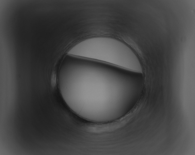 X0000100890021200806241018