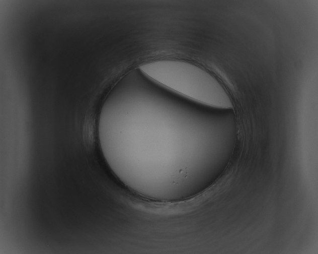 X0000100890023200806241018