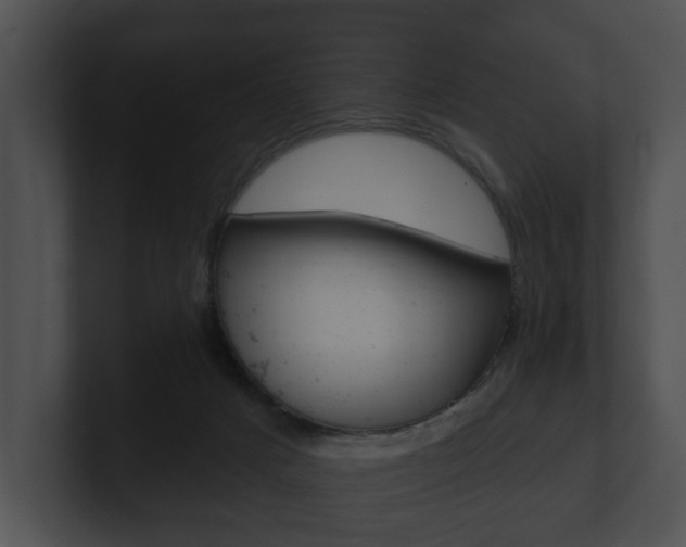 X0000100890025200806241018