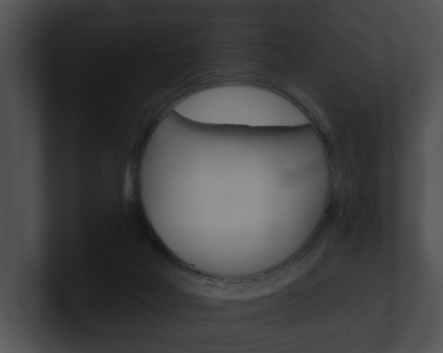 X0000100890026200806241018