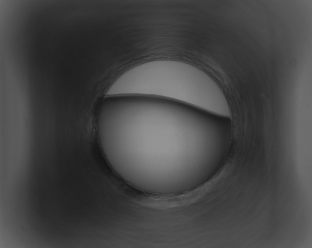 X0000100890029200806241018