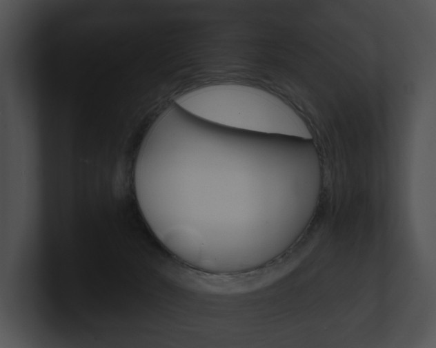 X0000100890030200806241018