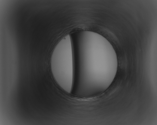 X0000100890036200806241018