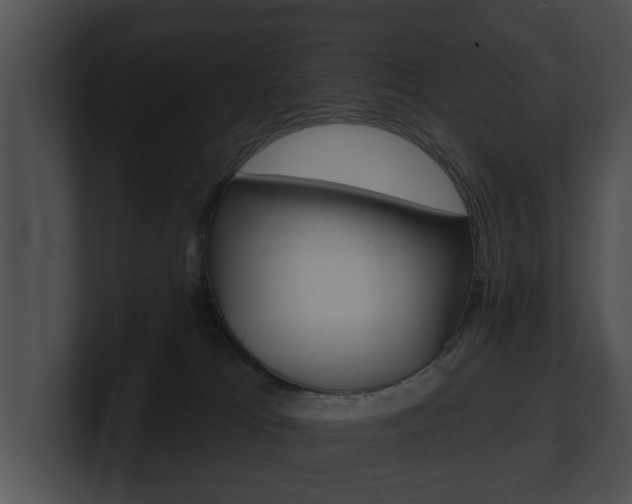 X0000100890037200806241018