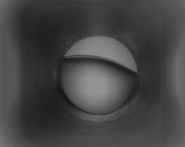 X0000100890039200806241018