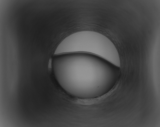 X0000100890041200806241018