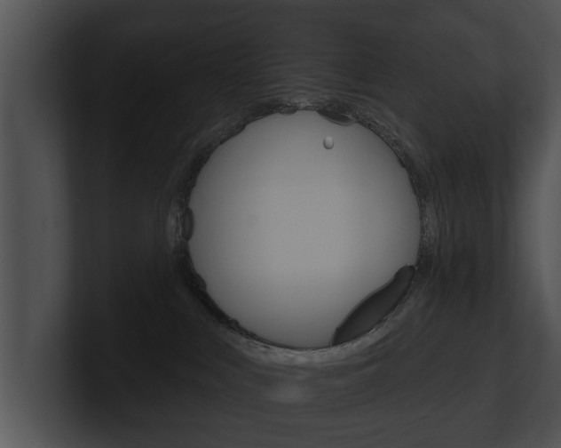 X0000100890043200806241018