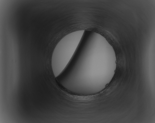 X0000100890044200806241018