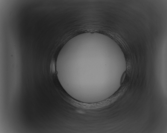 X0000100890046200806241018