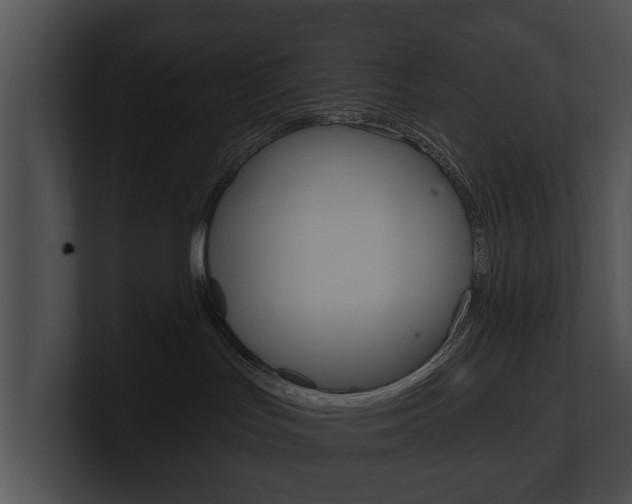 X0000100890047200806241018