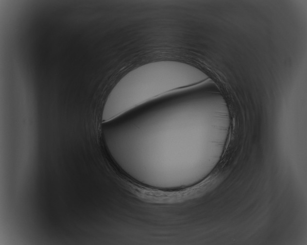 X0000100890048200806241018