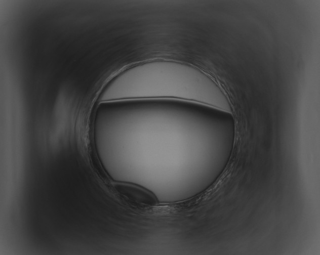 X0000100890050200806241017