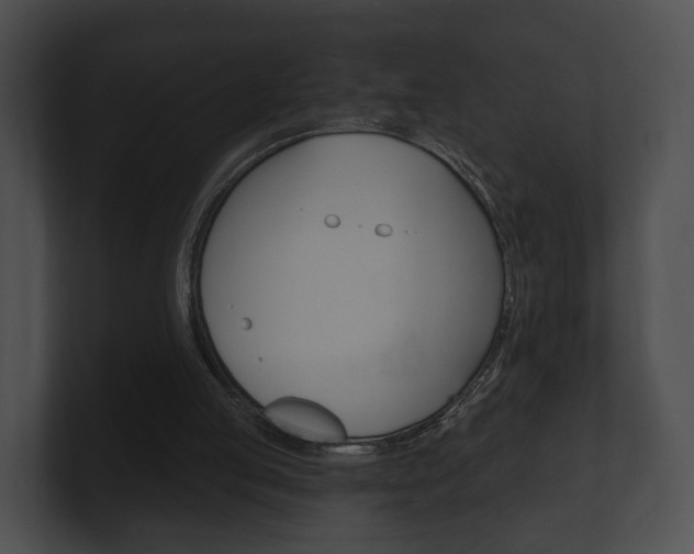 X0000100890053200806241017