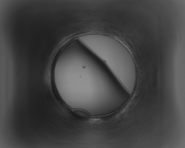 X0000100890055200806241018