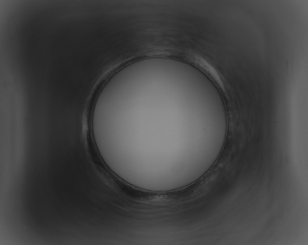 X0000100890059200806241018