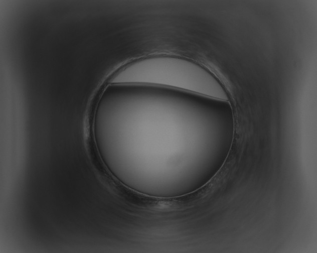 X0000100890060200806241018