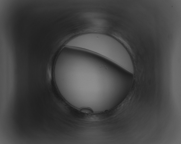 X0000100890062200806241018