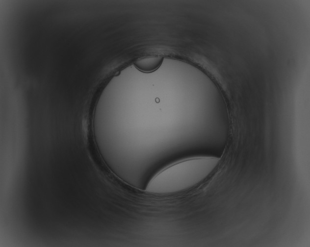 X0000100890063200806241018