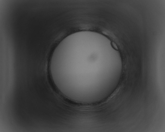 X0000100890066200806241018