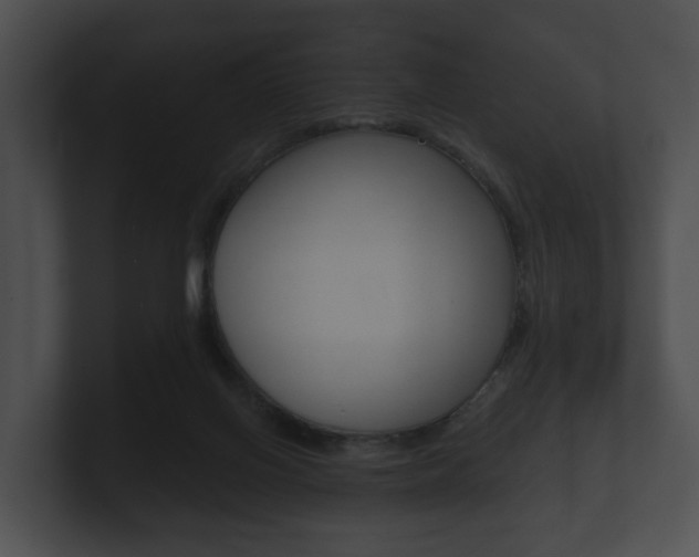 X0000100890070200806241018