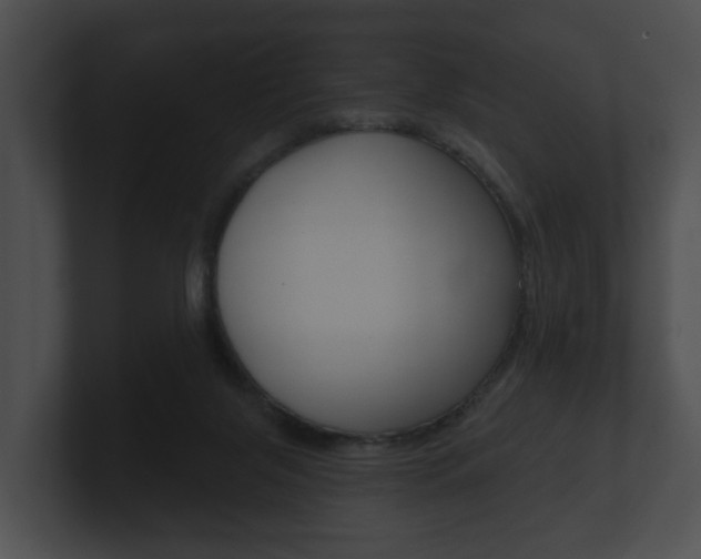 X0000100890071200806241018