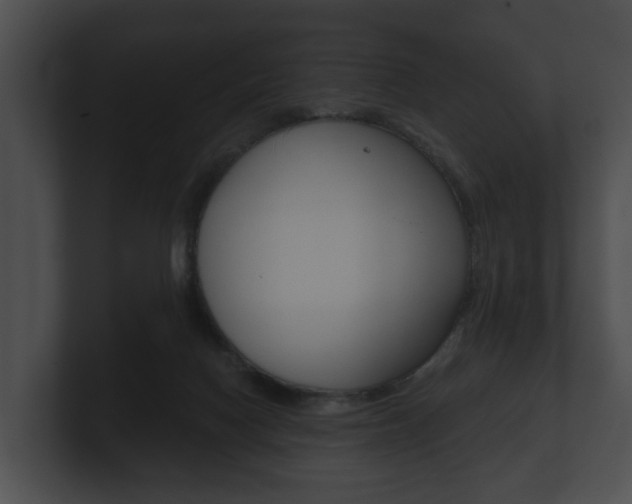 X0000100890074200806241018